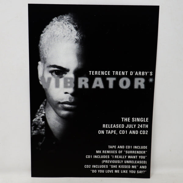 Vintage Terrence Trent D'Arby TTD's Sananda Maitreya Vibrator World Tour 1995 Concert Programme Program Book + The Labatts Apollo Ticket Stub Rare