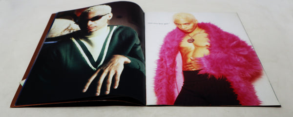 Vintage Terrence Trent D'Arby TTD's Sananda Maitreya Vibrator World Tour 1995 Concert Programme Program Book + The Labatts Apollo Ticket Stub Rare